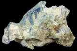 Vibrant Blue Kyanite In Quartz - Brazil #80398-1
